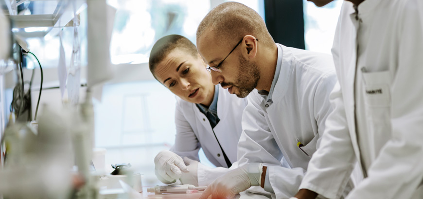 Two scientists working together