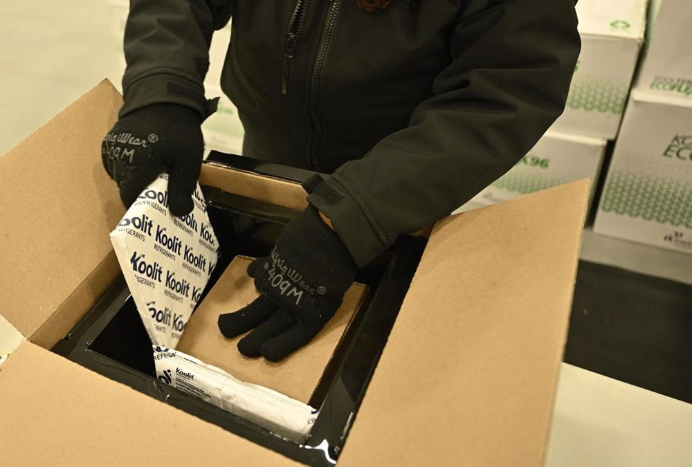 Employee packing the vaccines with ice packs for transport